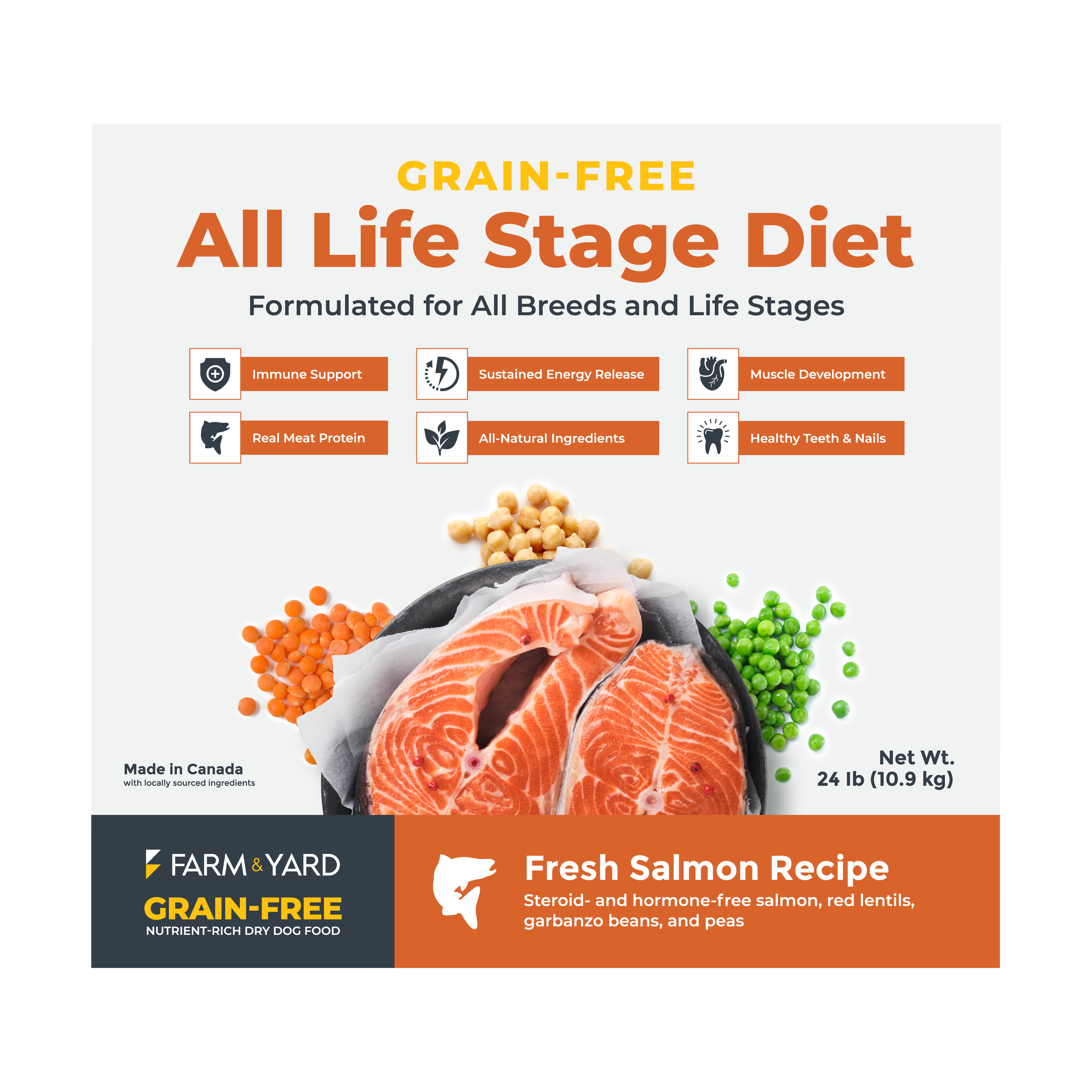 Nutrient-Rich All Life Stage Dry Dog Food - Salmon Recipe