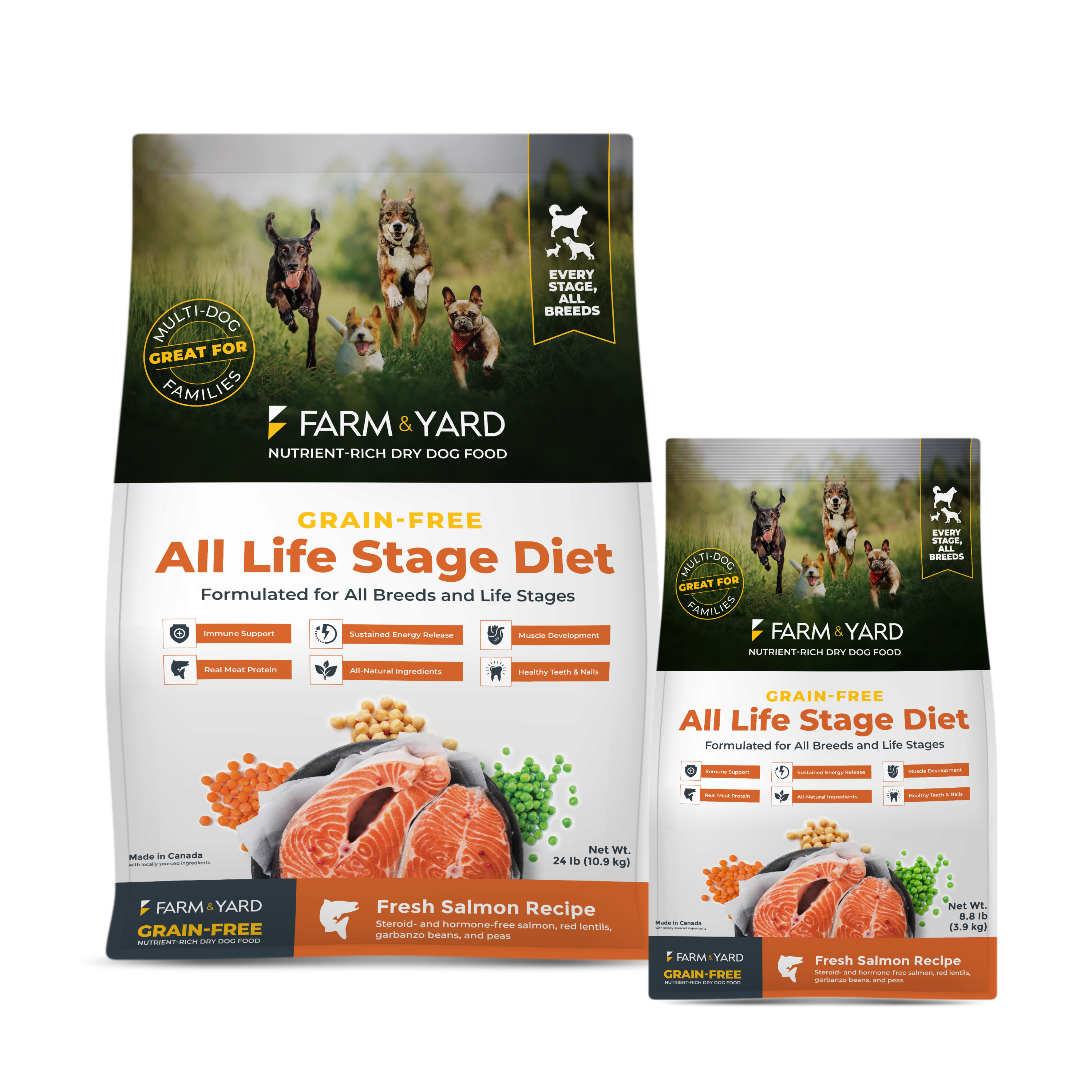 Nutrient-Rich All Life Stage Dry Dog Food - Salmon Recipe