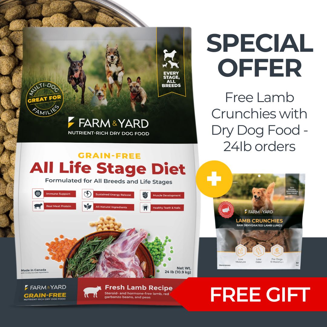 24Ib Dry Dog Food Lamb Recipe & FREE Lamb Crunchies 8oz