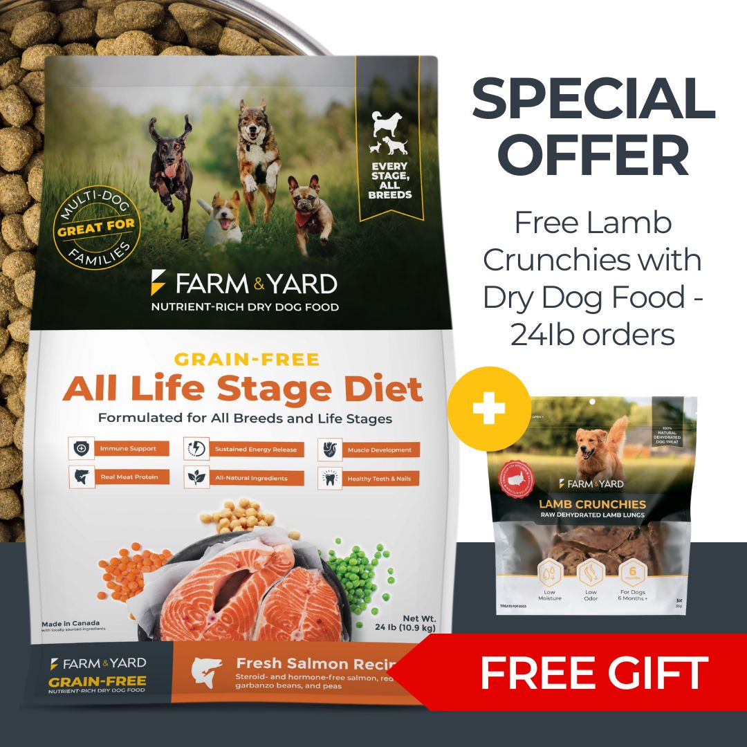 24Ib Dry Dog Food Salmon Recipe & FREE Lamb Crunchies 8oz