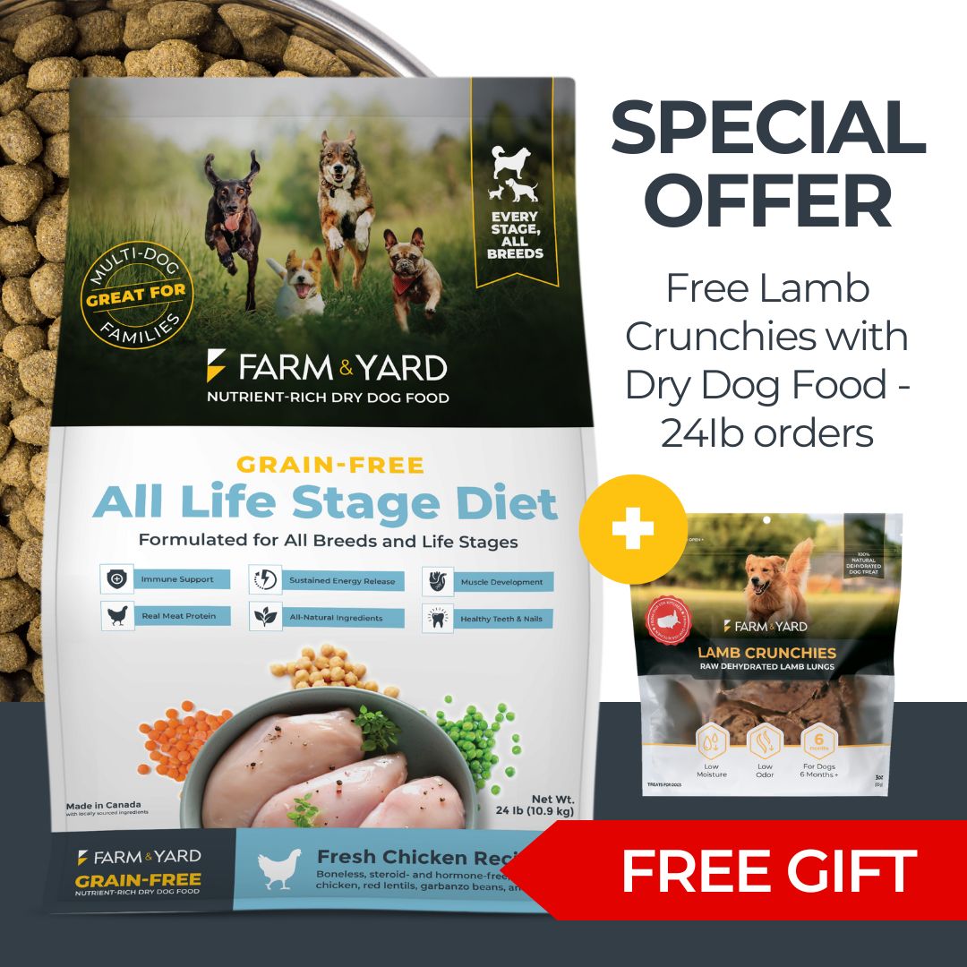 24Ib Dry Dog Food Chicken Recipe & FREE Lamb Crunchies 8oz