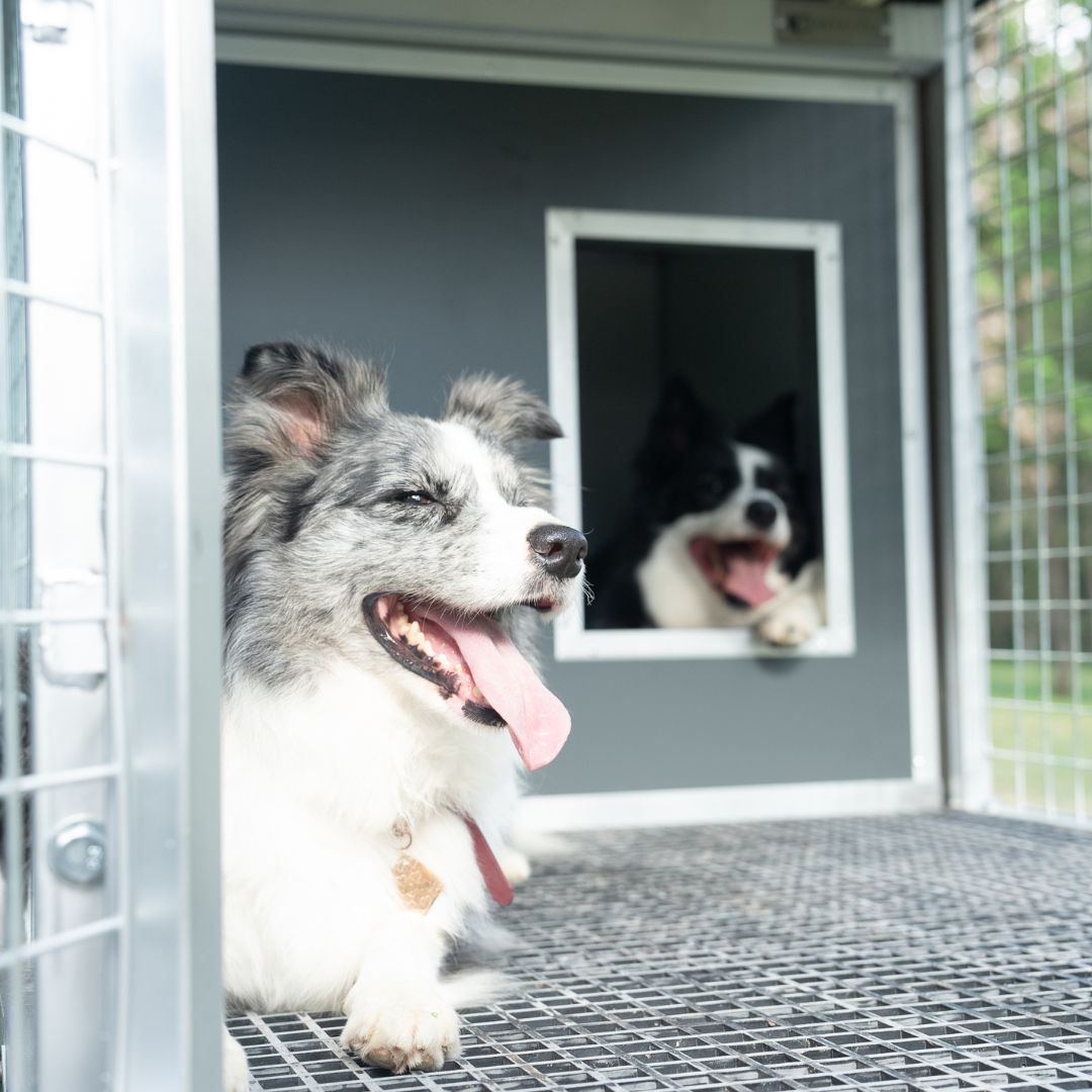 CozyCube Coldroom Panel Insulated Dog House