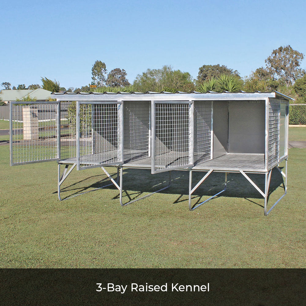 3 Bay Raised Dog Kennel Farm & Yard